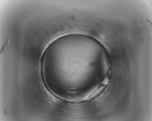X0000096221508200801251045