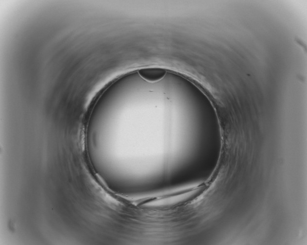 X0000096221510200801251045