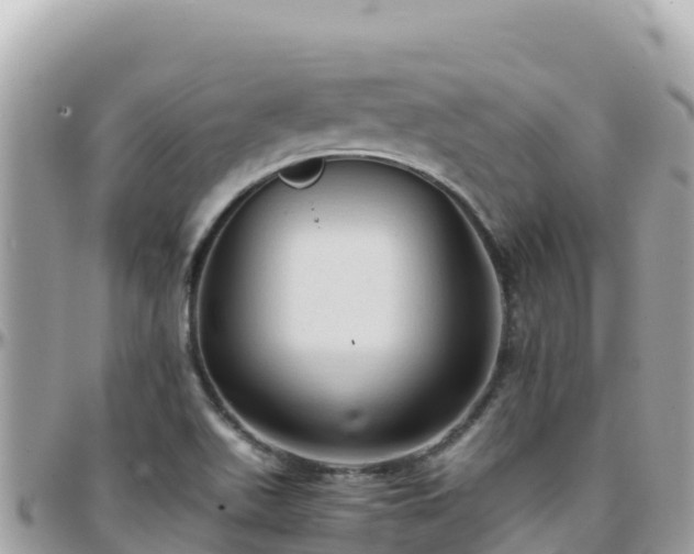 X0000096221511200801251045