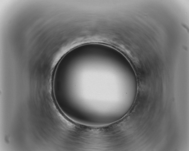 X0000096221512200801251045