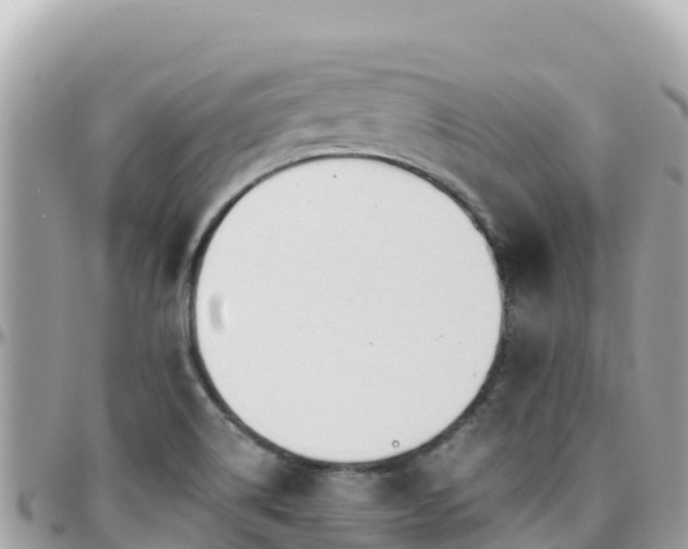 X0000096221514200801251045