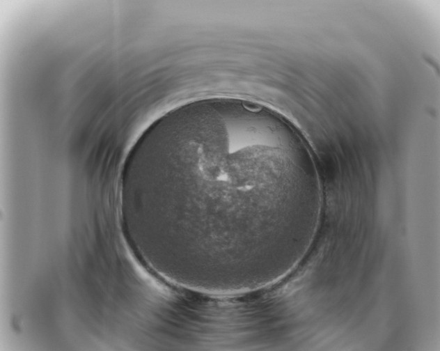 X0000096221515200801251045