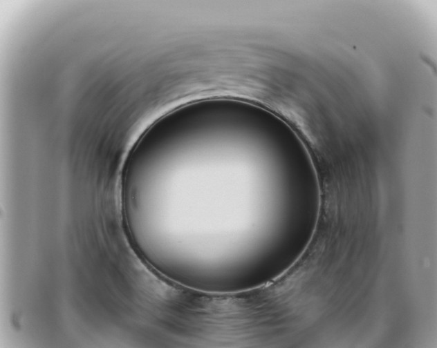 X0000096221516200801251045