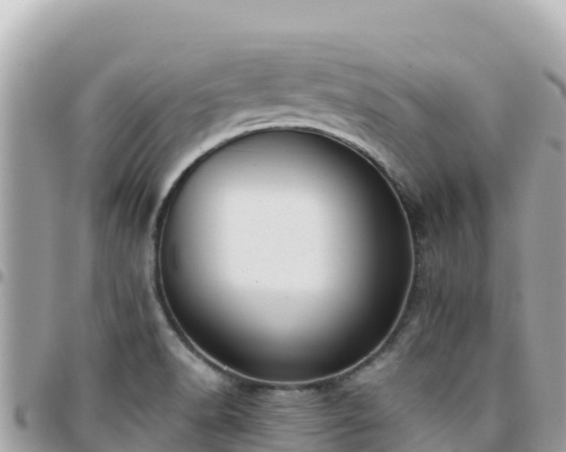 X0000096221518200801251045