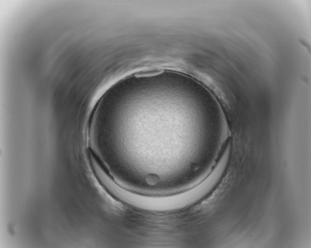 X0000096221520200801251045
