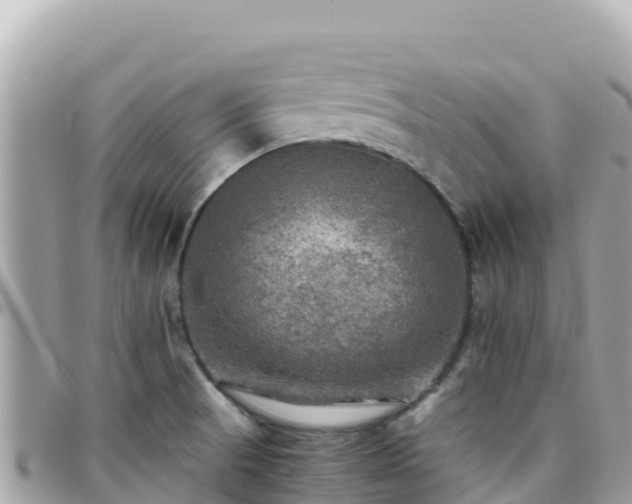 X0000096221521200801251045