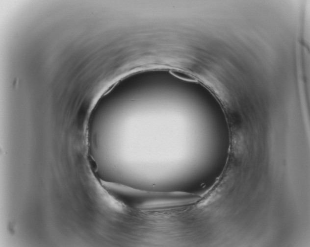 X0000096221524200801251045