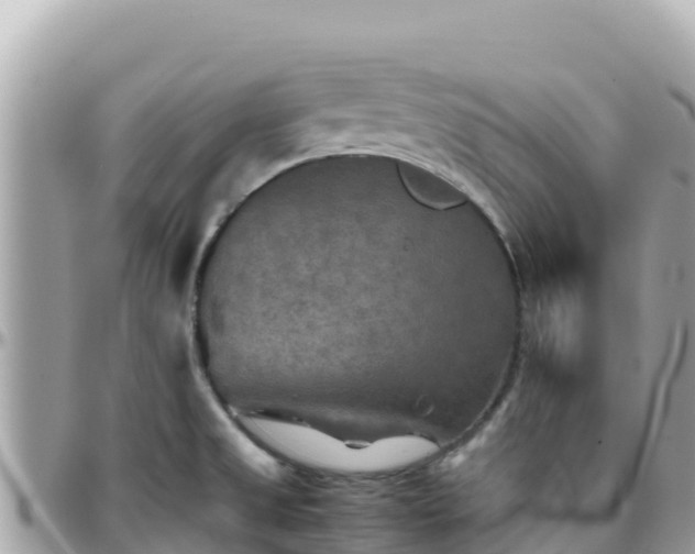 X0000096221525200801251045