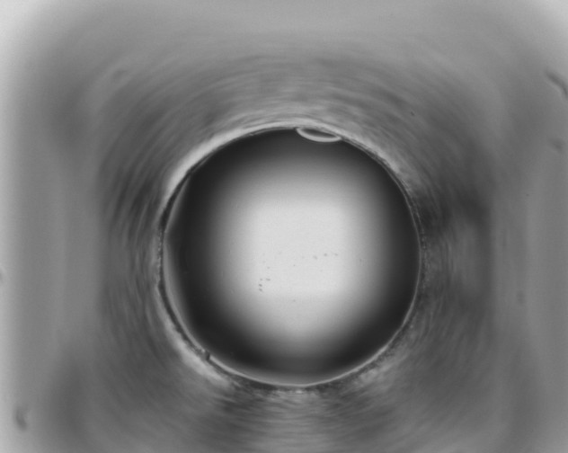 X0000096221526200801251045