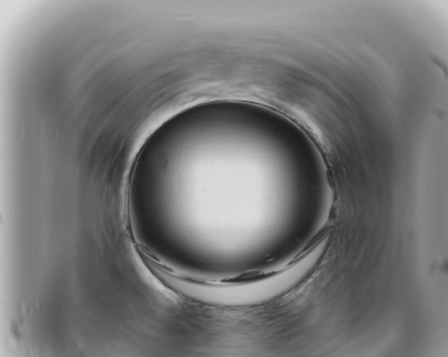 X0000096221528200801251045