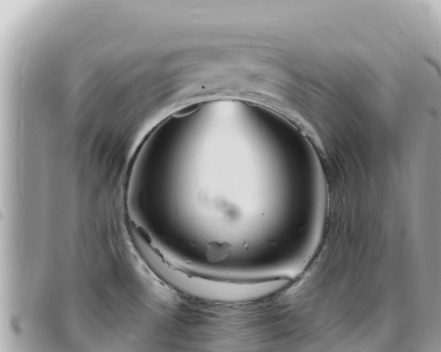 X0000096221530200801251045