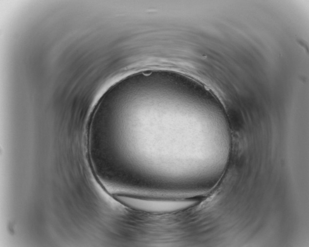 X0000096221531200801251045