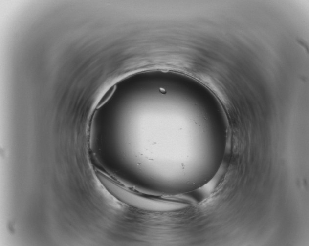 X0000096221532200801251045