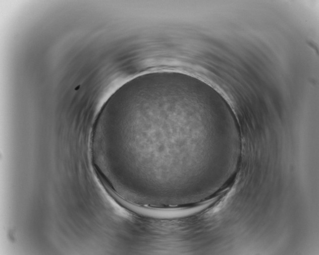X0000096221533200801251045