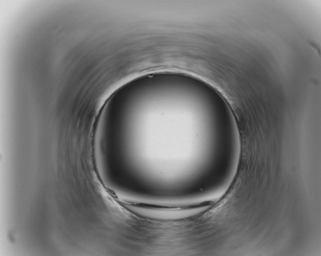 X0000096221534200801251045
