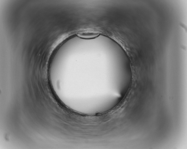 X0000096220008200802011353