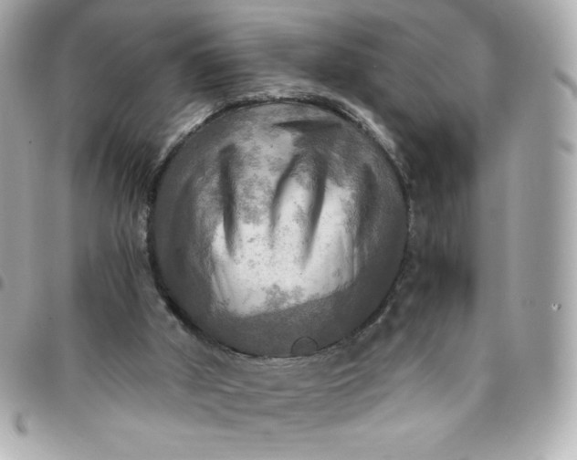 X0000096220010200802011353