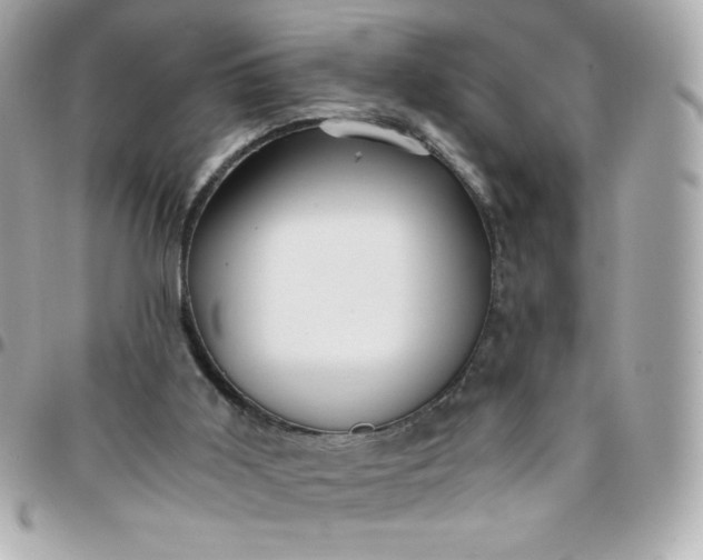 X0000096220011200802011353