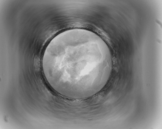 X0000096220012200802011353