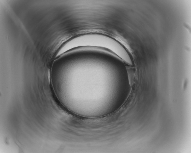 X0000096220013200802011353