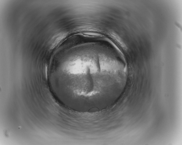 X0000096220014200802011353