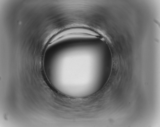 X0000096220015200802011353