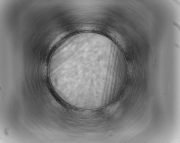 X0000096220016200802011353