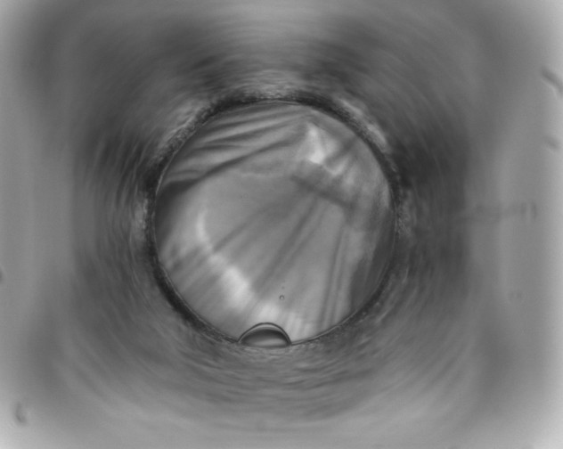 X0000096220018200802011353