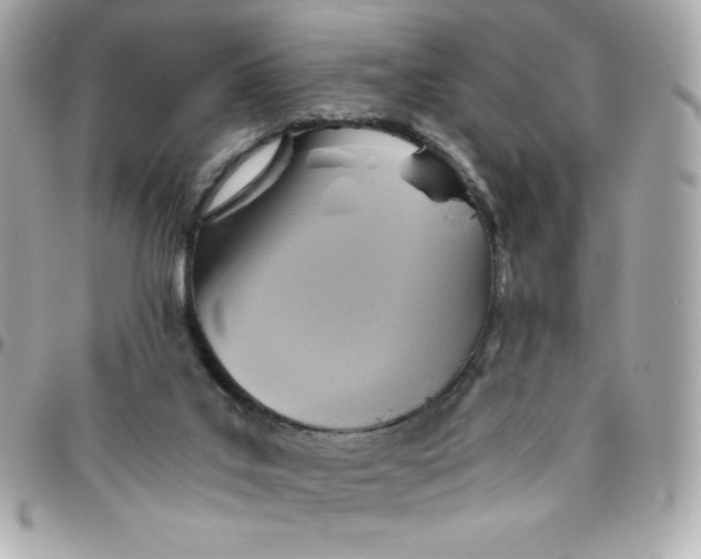 X0000096220019200802011353