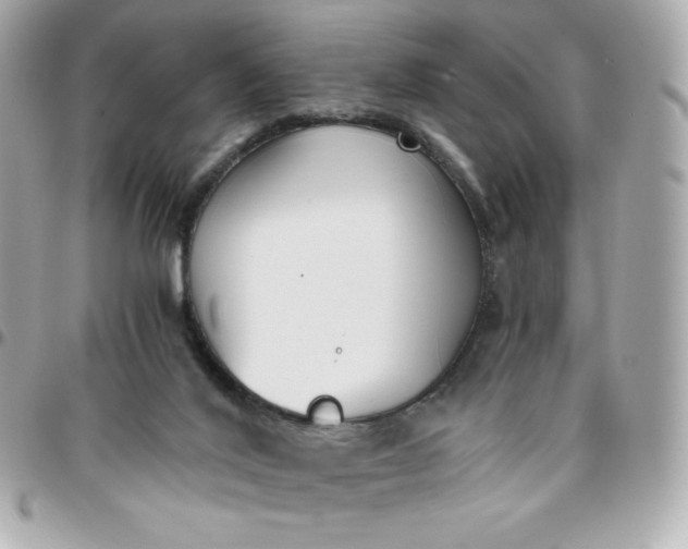 X0000096220020200802011353