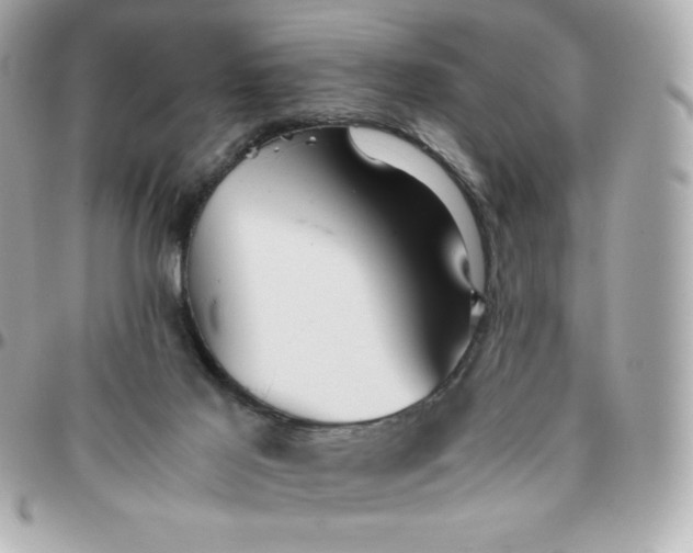 X0000096220021200802011353