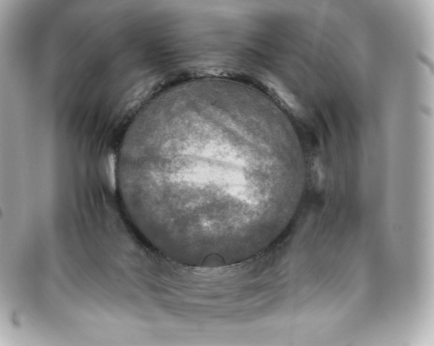 X0000096220022200802011353