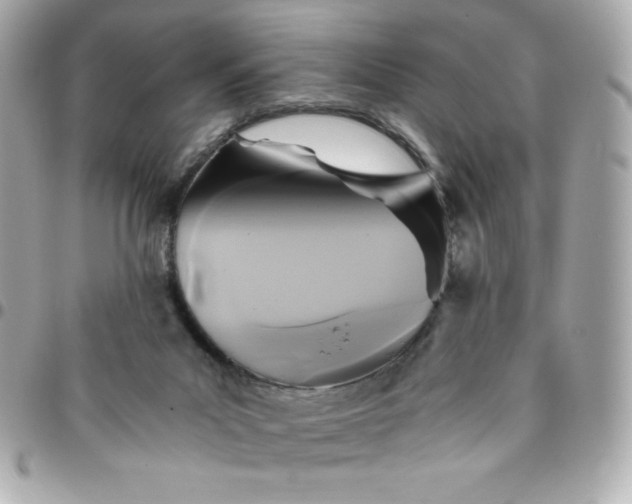 X0000096220023200802011353