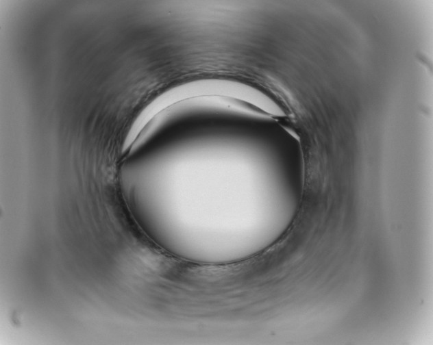 X0000096220025200802011353