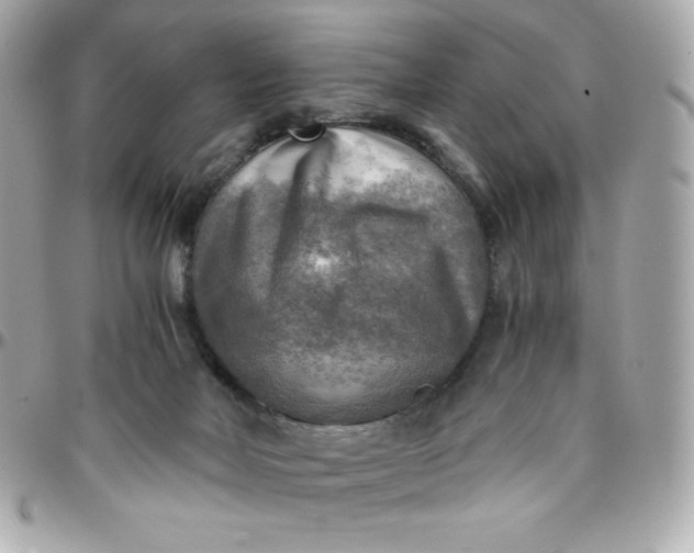 X0000096220026200802011353