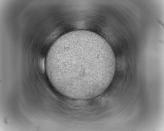 X0000096220028200802011353