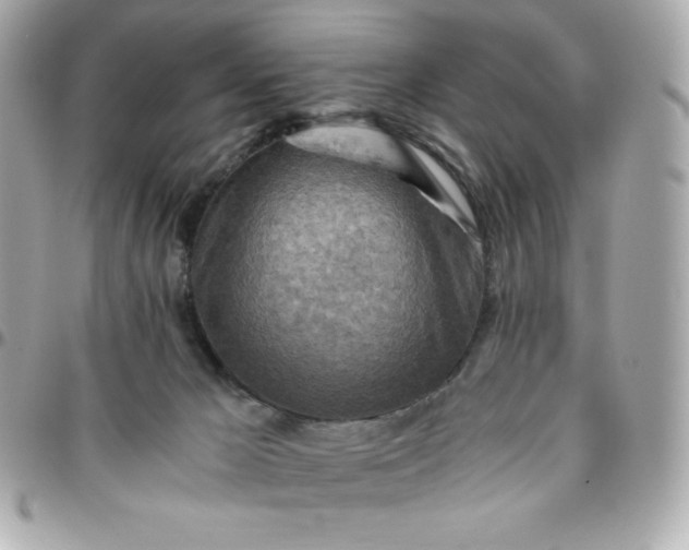 X0000096220029200802011353