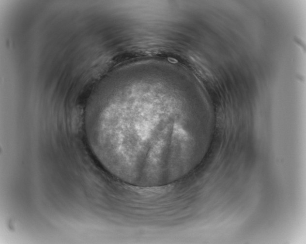 X0000096220030200802011353