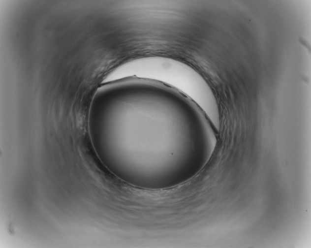 X0000096220031200802011352