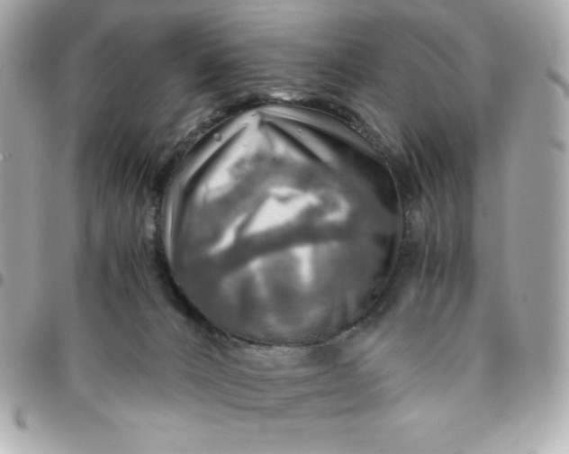 X0000096220032200802011352