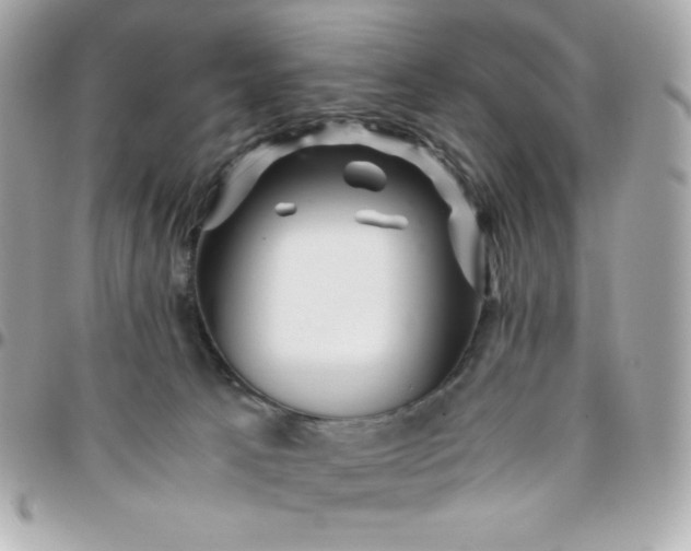 X0000096220033200802011352