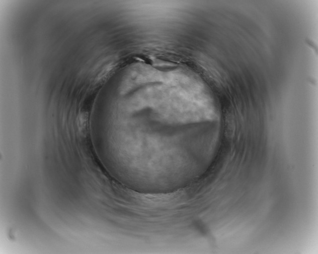 X0000096220034200802011352