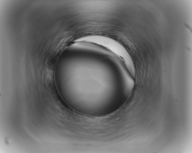 X0000096220035200802011352