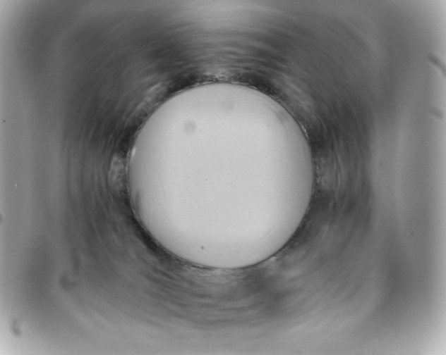 X0000096220036200802011352