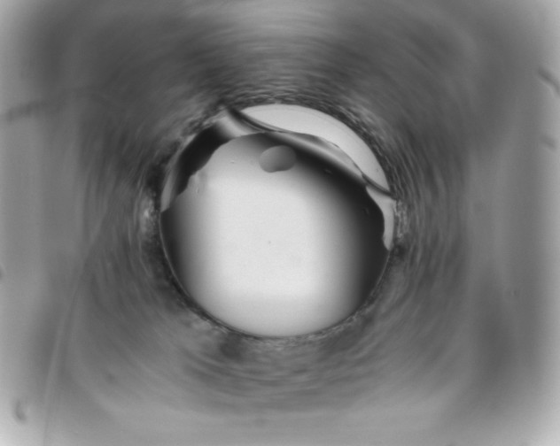 X0000096220037200802011352