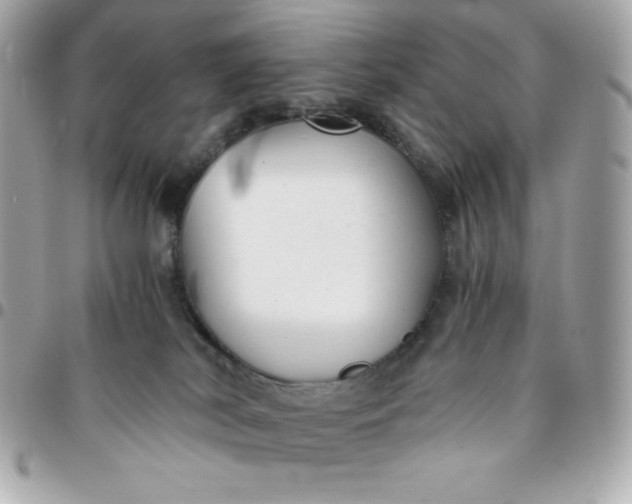 X0000096220038200802011352