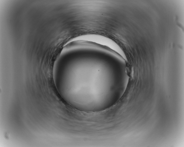 X0000096220039200802011352