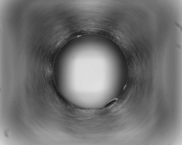 X0000096220040200802011352