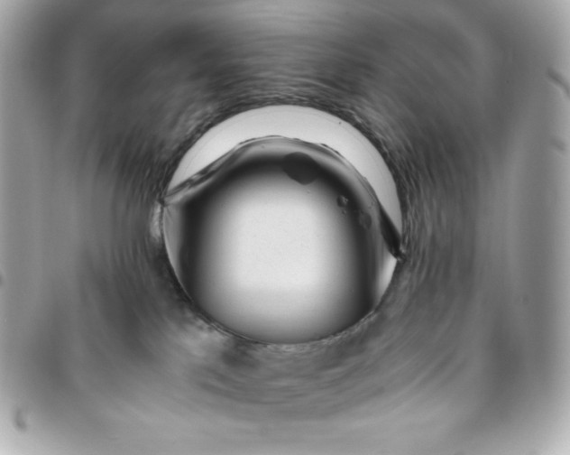 X0000096220041200802011352