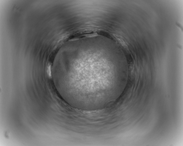 X0000096220042200802011352